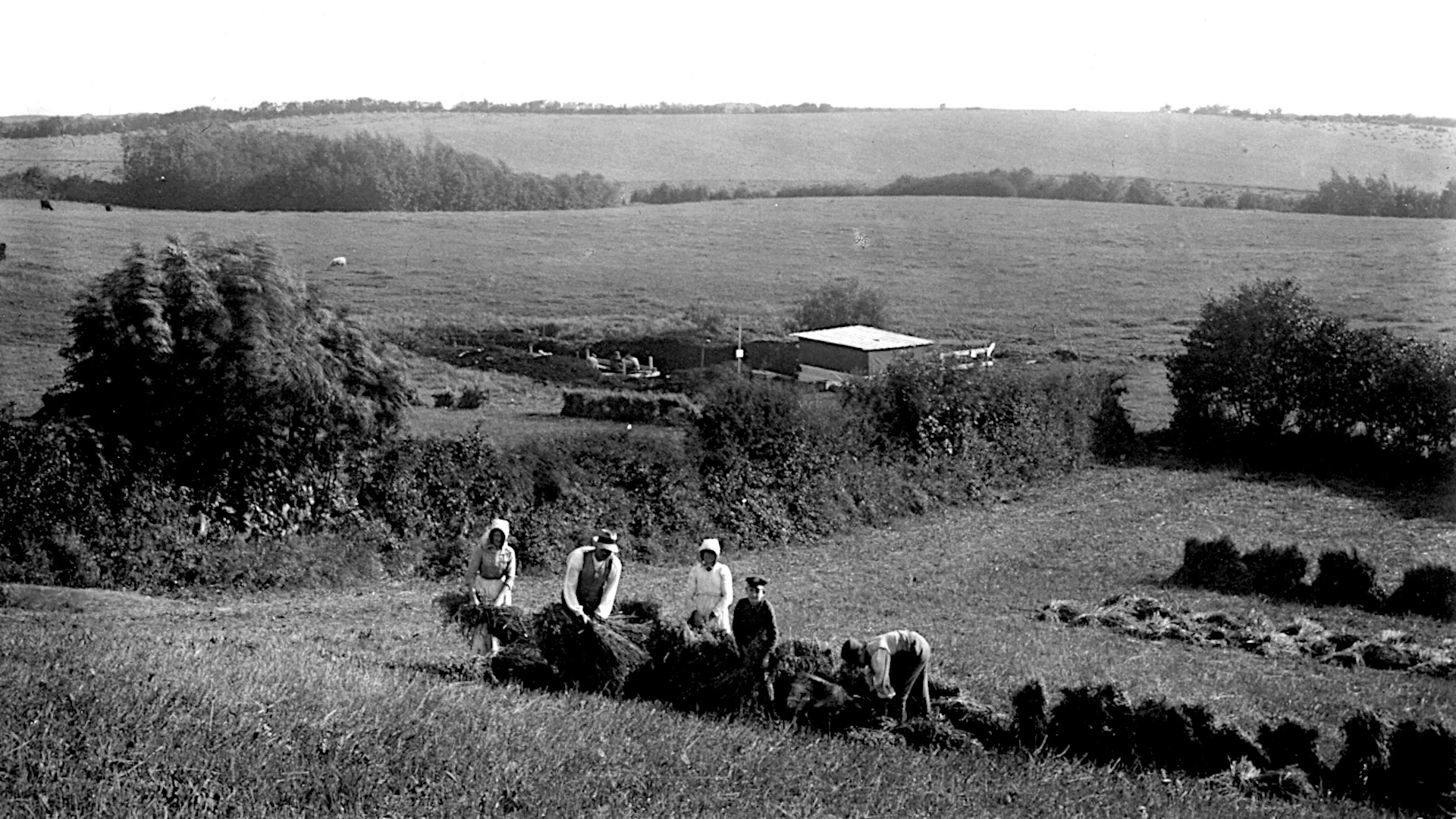 The excavation field is at the excavated ground by the building behind the hedge.<br><i>Hjortspringfundet</i>: fig. 1, p. 10.